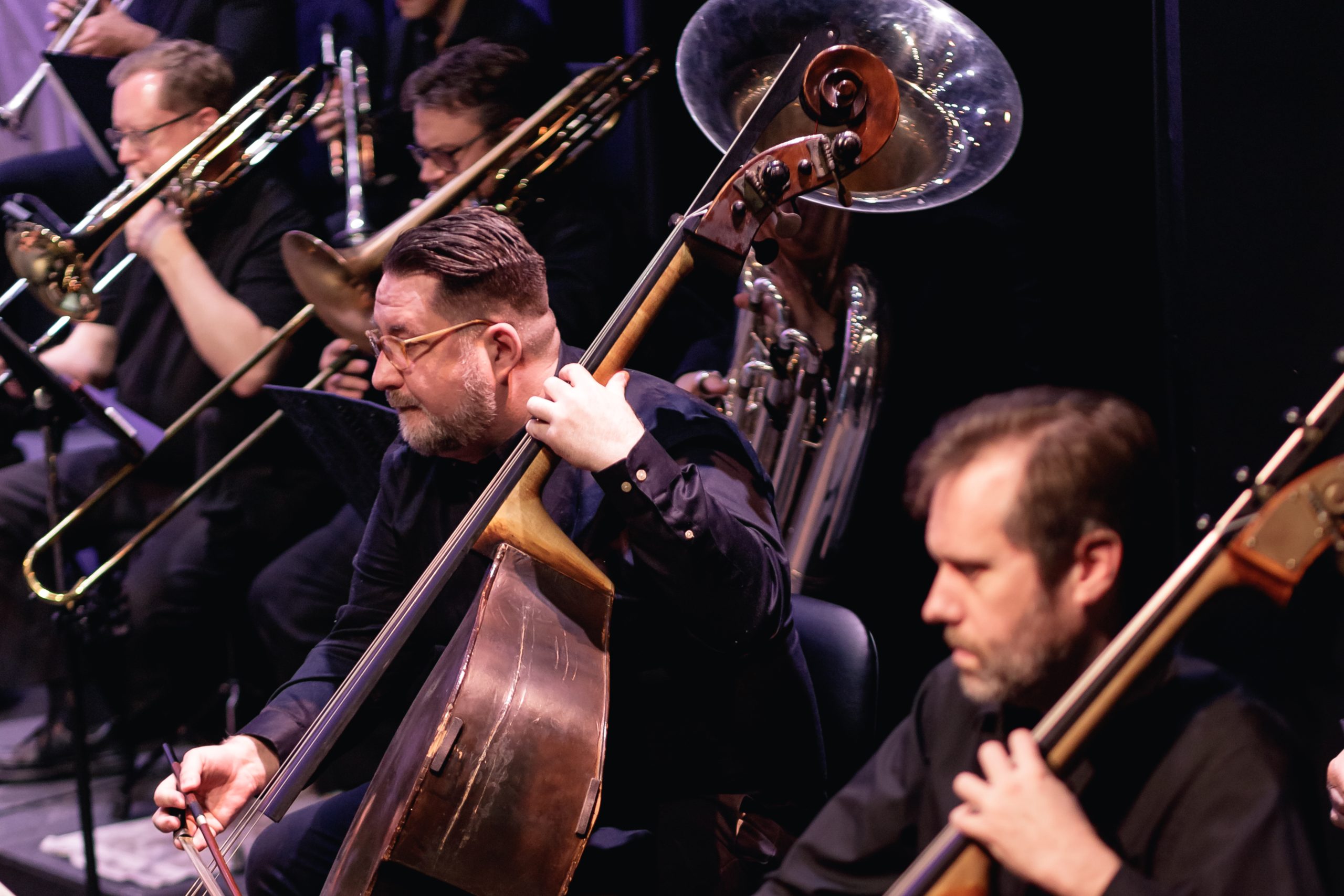 Double Bass section Dr. David Rentz, Music Director